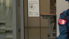 Uno de los gatos intentando atravesar la seguridad del museo.