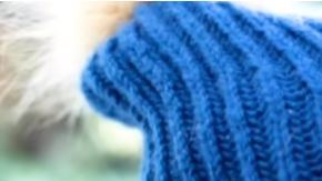 Oso mata a mujer y su bebé