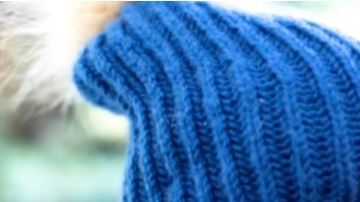 Oso mata a mujer y su bebé