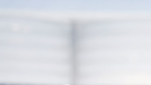 Patriots y Raiders generaron una derrama de $45 millones de dólares el año pasado