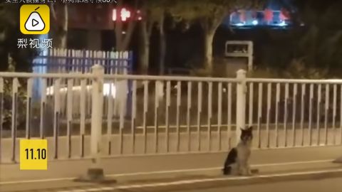 Xiongxiong ha permanecido allí desde el 21 de agosto.