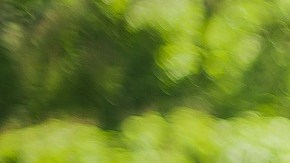 Le hacían bullying por subir de peso pero estaba embarazada