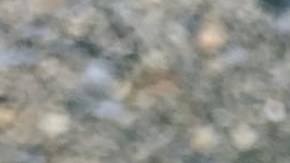 Una joya hecha a partir del cordón umbilical.