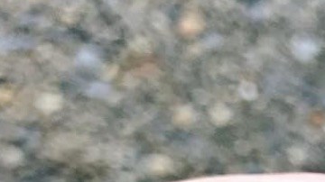 Una joya hecha a partir del cordón umbilical.