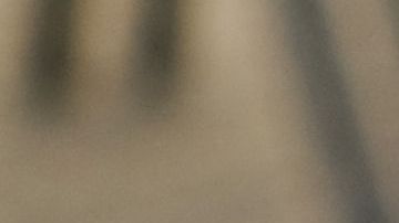 Muchas ocupaciones bien remuneradas están desapareciendo o son robotizadas./Shutterstock