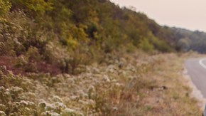 auto dañado en el camino