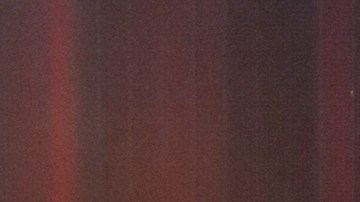 Rosa Gloria Chagoyán