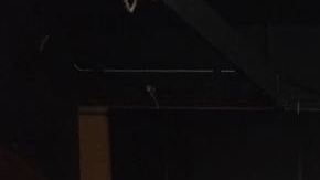 El Consejo de Federaciones Mexicanas lanzó un llamado a los nuevos ciudadanos a no faltar a votar este martes 6 de noviembre. (foto suministrada)