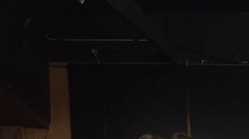 El Consejo de Federaciones Mexicanas lanzó un llamado a los nuevos ciudadanos a no faltar a votar este martes 6 de noviembre. (foto suministrada)