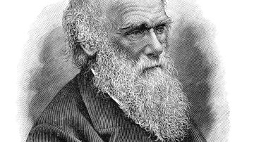 Darwin observó que la competencia puede a veces genera beneficios.