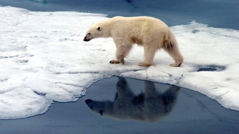 Las temperaturas del planeta sufren un cambio acelerado.