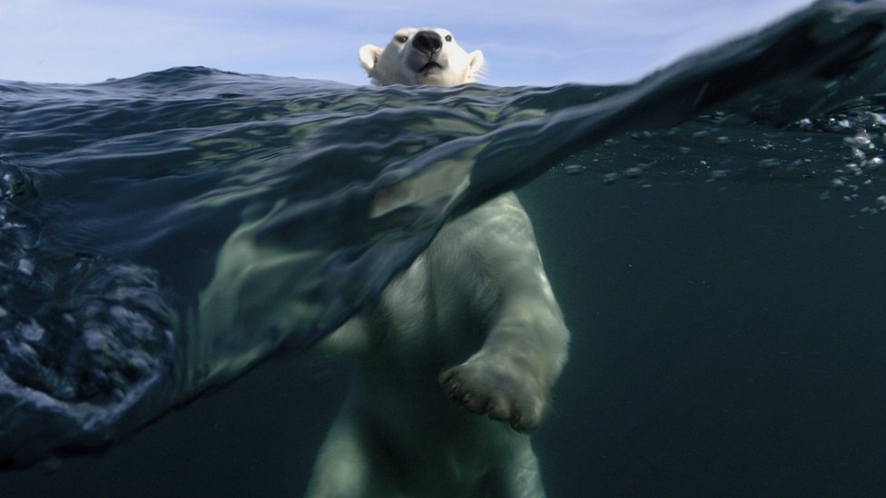El Ártico es una de las regiones afectadas por el cambio climático.