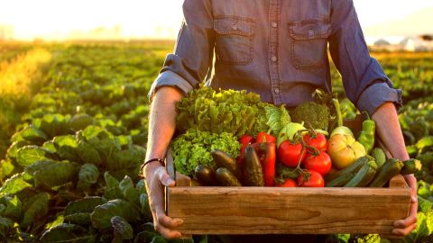 La agricultura orgánica puede ser beneficiosa.