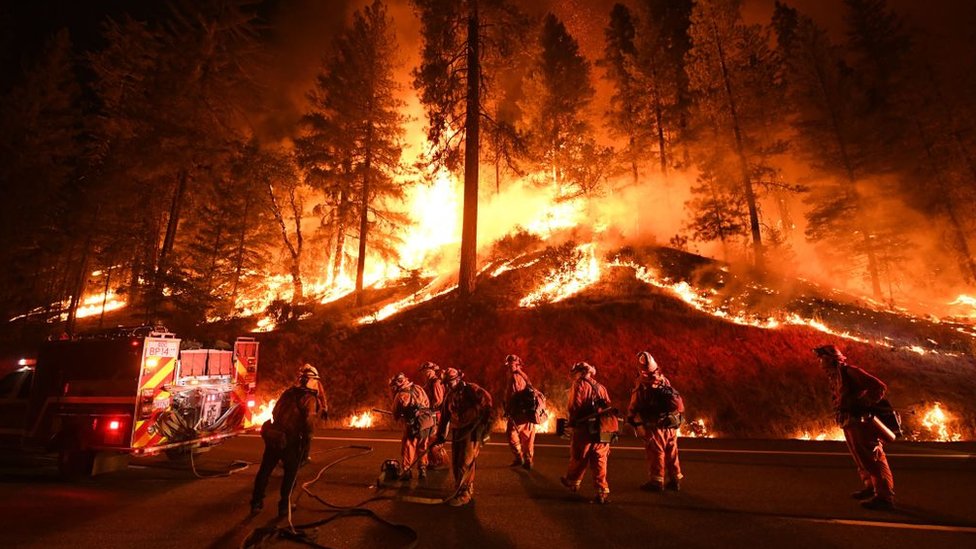 Los incendios de los últimos años han sido catalogados como los más destructivos y mortíferos en la historia del estado.
