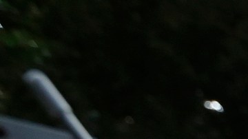 Decenas de familias se reencontraron ayer para la felicidad de padres e hijos. (Aurelia Ventura/La Opinion)