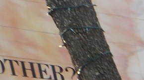 Cientos de católicos se reunieron en La Placita Olvera el día de la Virgen de Guadalupe.