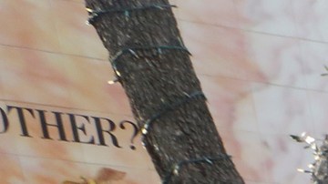 Cientos de católicos se reunieron en La Placita Olvera el día de la Virgen de Guadalupe.