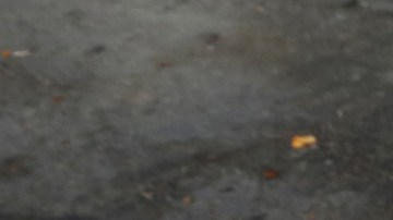 12/12/18/ LOS ANGELES/2 year old Jacob Rico with his mother joined hundreds of Catholic faithful during the celebration to Lady Guadalupe outside La Placita Church in Olvera St. (Photo Aurelia Ventura/ La Opinion)