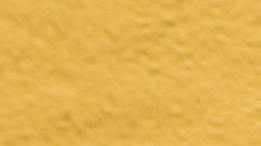 Maria Negrete  muestra orgullosa una foto de la graduación de una de sus hijas.