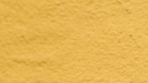 Maria Negrete  muestra orgullosa una foto de la graduación de una de sus hijas.