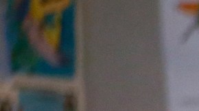 La senadora estatal Monique Limón