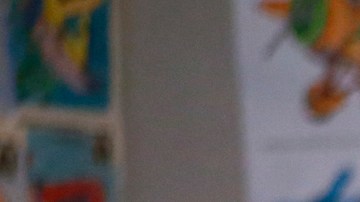 La senadora estatal Monique Limón