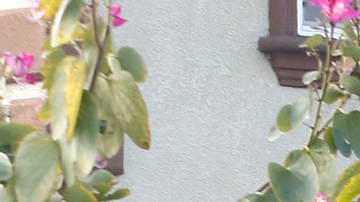 Flor Alarcón y su familia tuvieron que desalojar el apartamento donde vivían debido a que se inundó. Su auto cayó en un agujero provocado por el rompimiento de la tubería. (Aurelia Ventura/La Opinion)