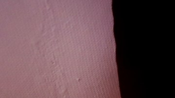 Guillermo Zapata es uno de las decenas de voluntarios que ayudan a decorar las carrozas del Desfile de las Rosas. (Aurelia Ventura/La Opinion)