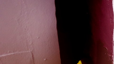 Guillermo Zapata es uno de las decenas de voluntarios que ayudan a decorar las carrozas del Desfile de las Rosas. (Aurelia Ventura/La Opinion)