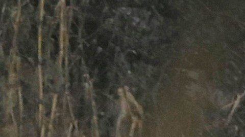 Expertos trabajan en torno a los restos de la aeronave.