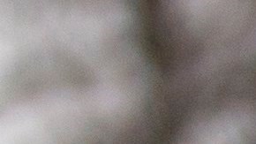 Un grupo de "soñadores" llega a Washington después de hacer un recorrido de 250 millas desde Nueva York