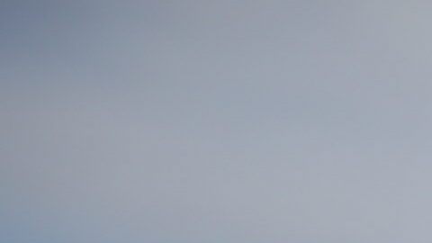 UNOS CUATRO MIL MANIFESTANTES PIDEN LA LEGALIZACIÓN DE LA MARIHUANA EN BRASIL