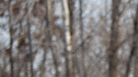 ¿Rebasará los $6 millones?