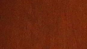 Un retrato junto al libro de condolencias en la Biblioteca Presidencial  George H.W. Bush.