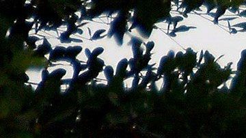 Bomberos inspeccionan la zona del accidente