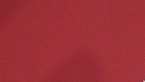 Los gobiernos de López Obrador y Trump analizan un programa de desarrollo en Centroamérica.