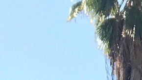 Maestros de Los Ángeles demandan mejores condiciones en las escuelas.