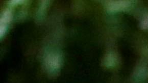 Familiares y vecinos de Jakelin lamentan su muerte.