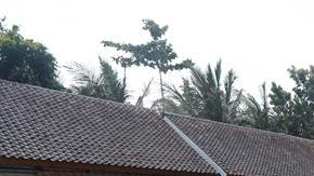 Devastación por tsunami en Indonesia.