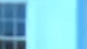 Stephen Miller dijo que la Administración Trump está dispuesta a cerrar el gobierno.