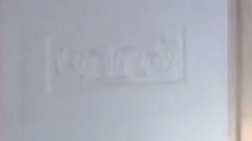 La pareja presidencial apareció elegantemente vestida.