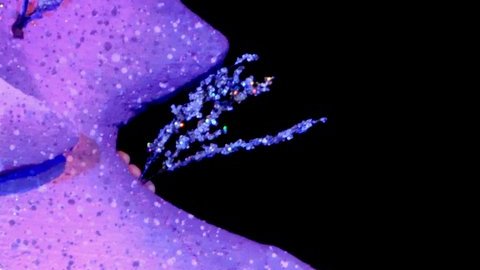 Evelyn Maldonado in The Little Mermaid Instituto Braille
