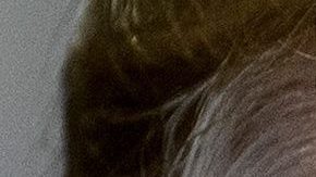 ¿Quién es y cómo funciona esta figura que estará preparara para el discurso de este martes de Donald Trump?