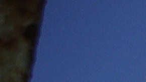 Miles de personas esperan en la frontera entre Estados Unidos Y México