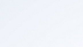 El juez no pudo determinar si Coronel y "El Chapo" lograron comunicarse.