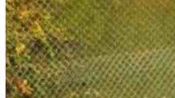 Un arroyo, Hamm Creek, antes y después del trabajo de restauración de un veterano