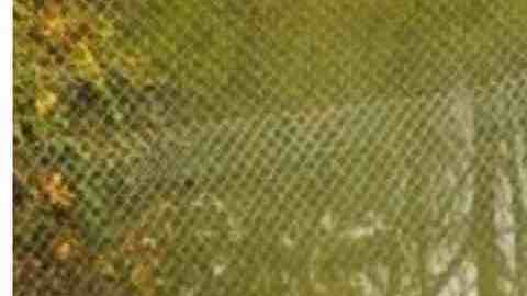 Un arroyo, Hamm Creek, antes y después del trabajo de restauración de un veterano