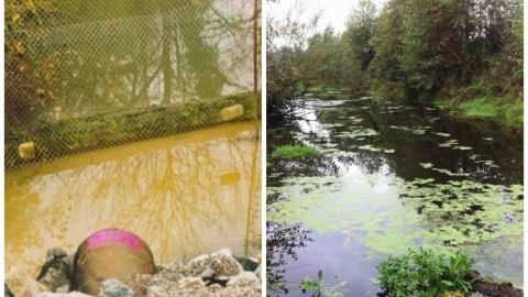 Un arroyo, Hamm Creek, antes y después del trabajo de restauración de un veterano