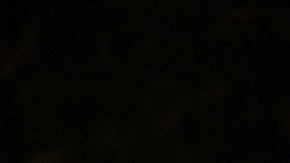 Como ha sido una tradición desde hace 12 años, en el hogar de Jorge Galván, Carlos Torres y Juan Carlos