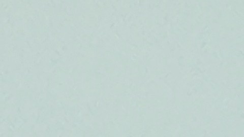 Ana Rosa Cruz conoce a recipiente del higado de su hijo Jose Luis después que falleció. (Jacqueline García)